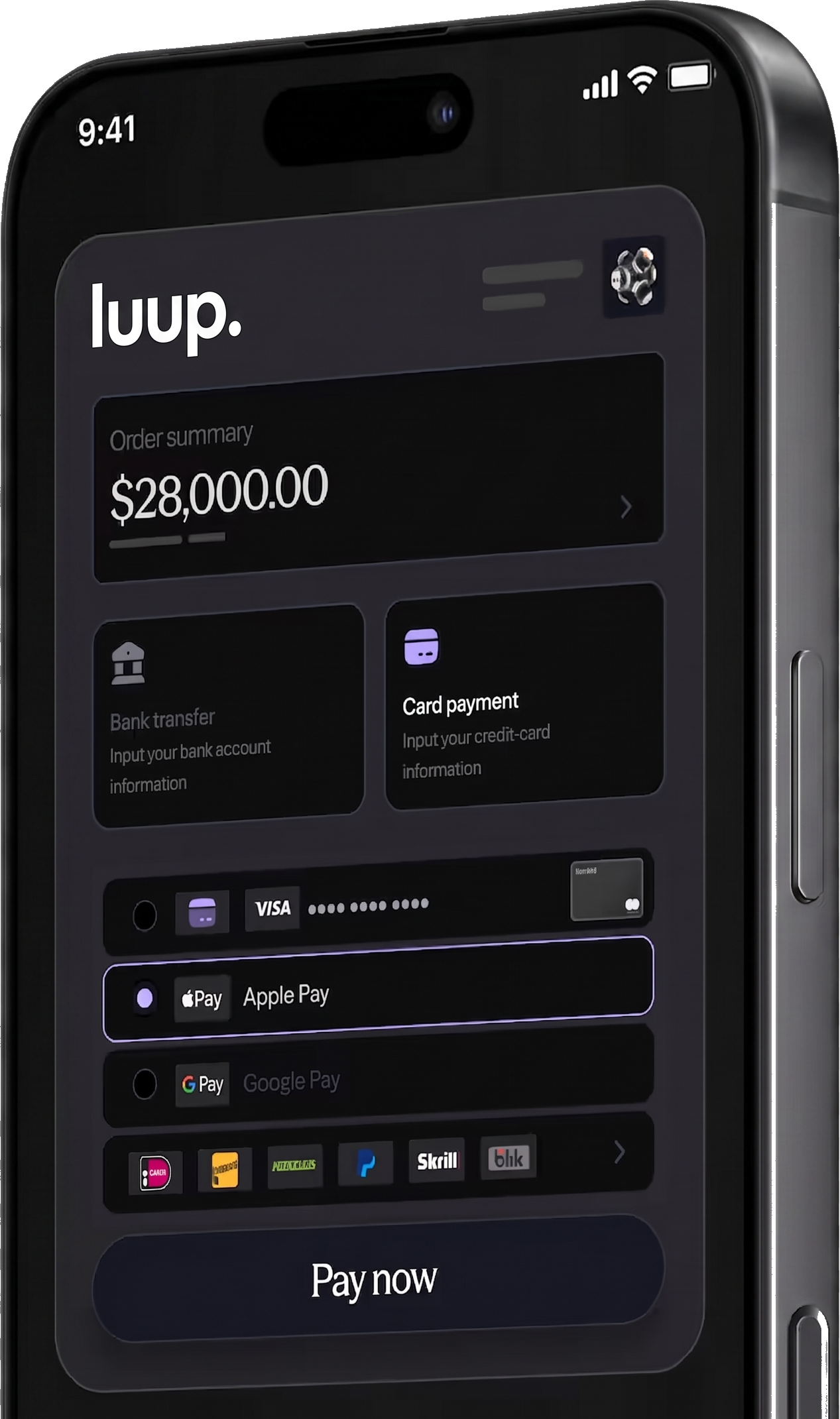 Luup Smarter Payment Solutions